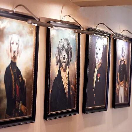 Ibis Styles 3* Σολέ