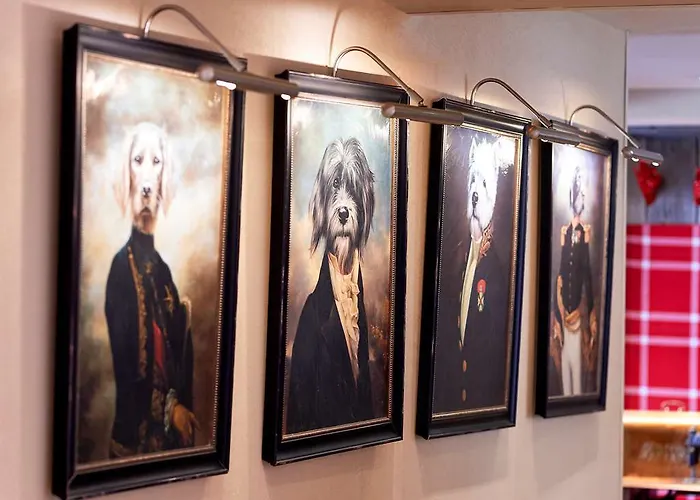 Ibis Styles 3* Cholet